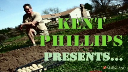 How to Plant Potatoes - In Cold Spud