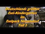 Deutschlands größter Esel-Kindergarten 2009 Teil 1