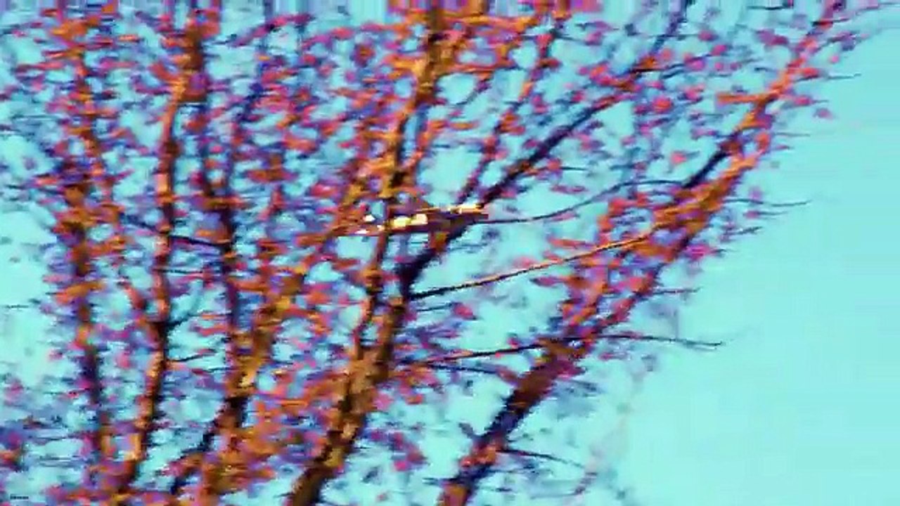 Lilly Wood and The Prick - Shadows