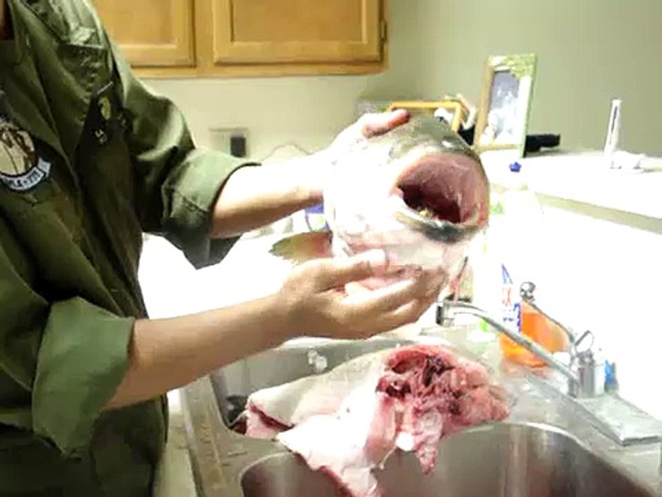 Spongebob Square pants fish