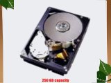 Western Digital WD2500SD 250GB 7200RPM 8MB SATA Hard Drive