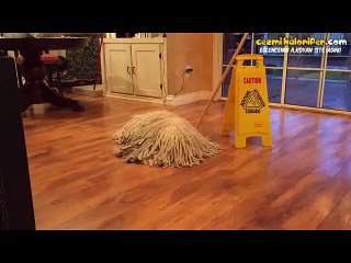 Böyle Güzel Paspas Görmediniz