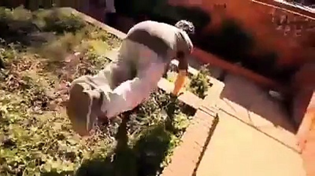 Monkey jumping