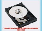 250GB IDE Western Digital AV UDMA/100 7200RPM 8MB WD2500AVJB