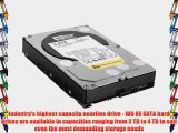 WD RE 3 TB Enterprise Hard Drive: 3.5 Inch 7200 RPM SATA III 64 MB Cache - WD3000FYYZ