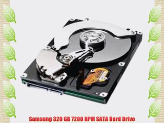 Samsung 320 GB 7200 RPM SATA Hard Drive