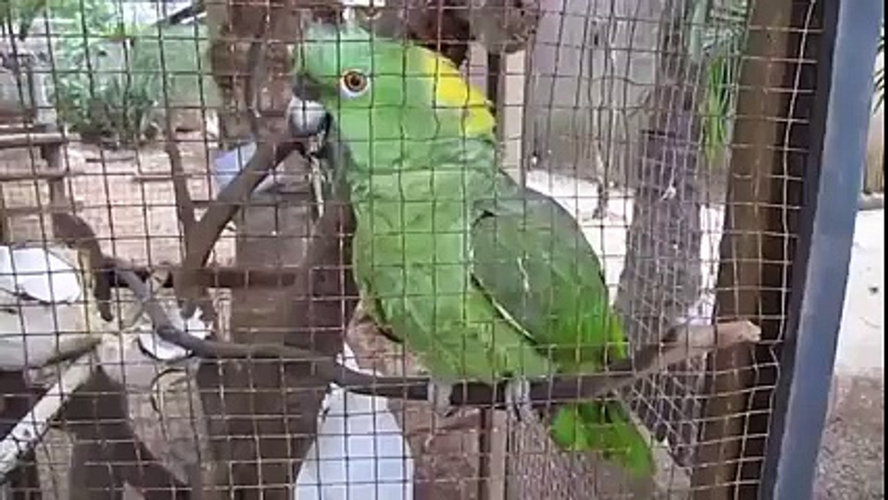 Amazing video......