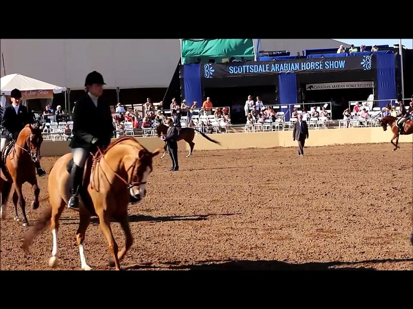 ⁣2015 Scottsdale Arabian Horse Show