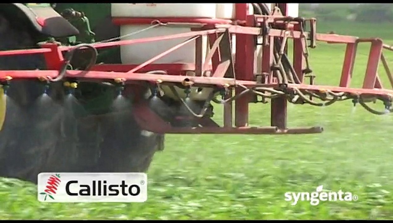 Kukuruz bez korova i pšenica bez bolesti - Syngenta_400_16.05.2015.