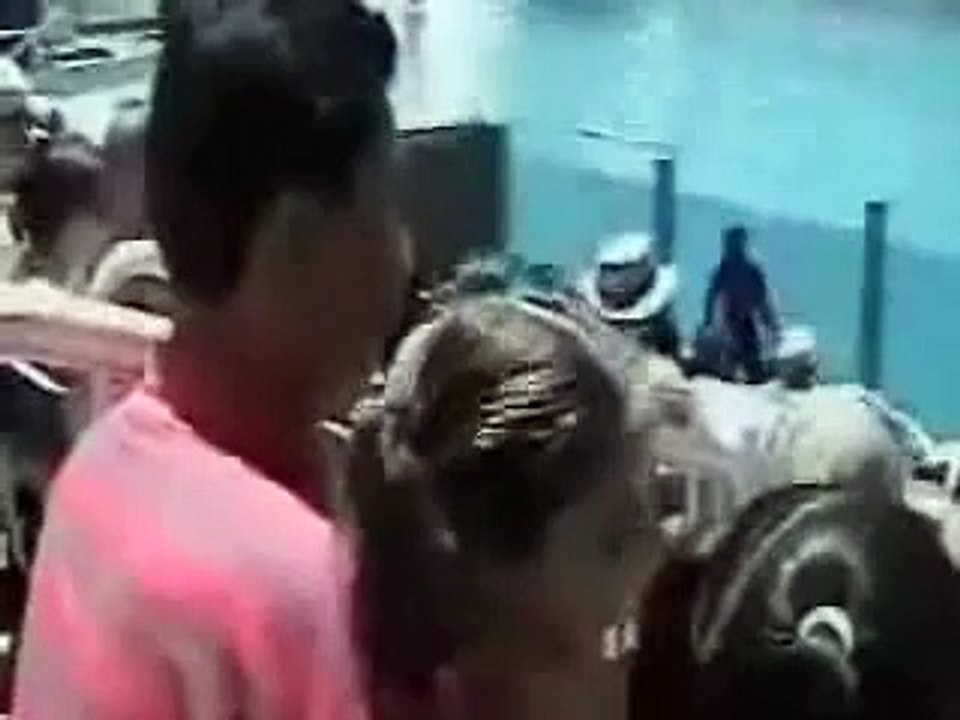 Orka aanval Seaworld