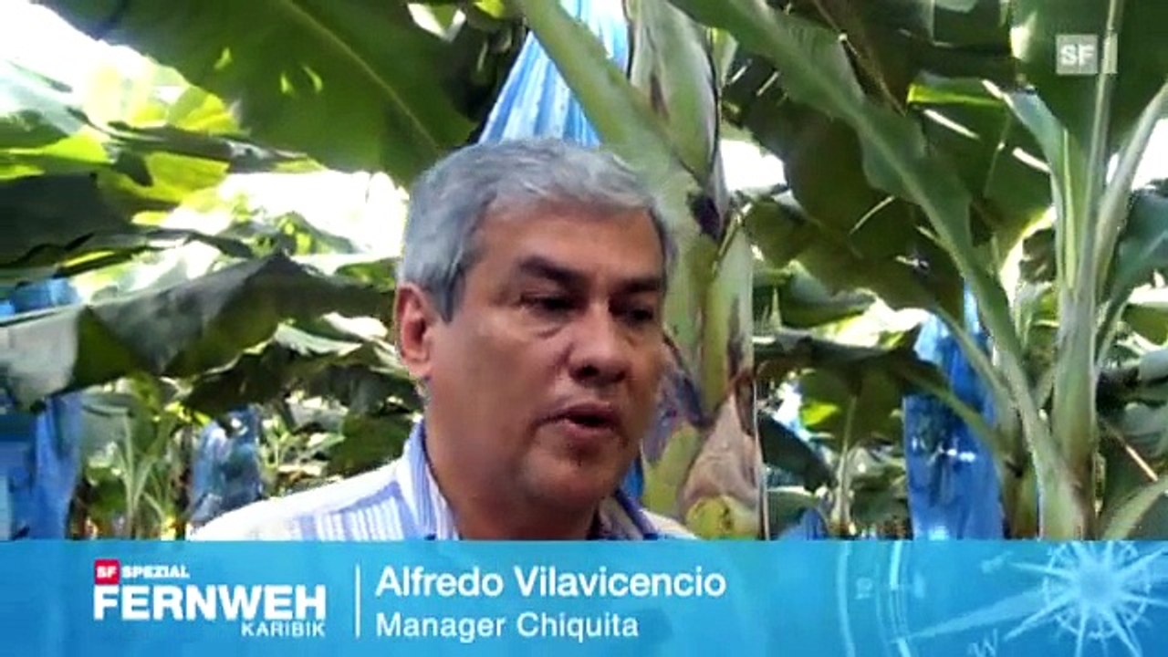 Fernweh 2010 - Martinique bis Montserrat ( Folge 3 )