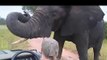 Feb 8 WildEarth Safari AM Drive: Tara and Andrew have a close encounter with a bull elephant