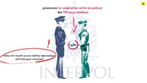 Expliquez-nous... Interpol