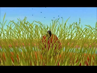 De Leeuwenkoning Hakuna Matata - Nederlands