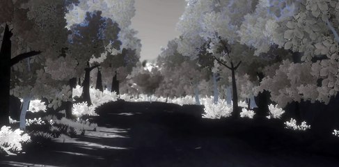 Reflections - Indie Game Reveal Trailer