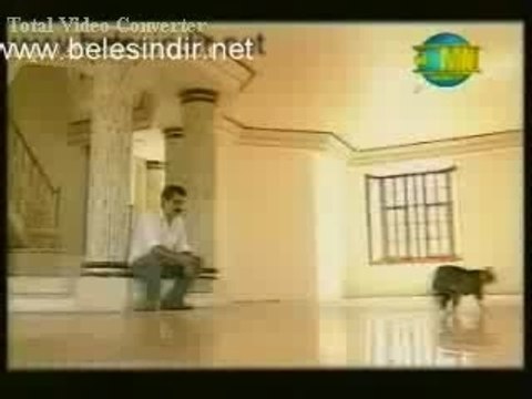 Nankor kedi ibrahim tatlises