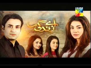 Aye Zindagi episode 14 promo on hum tv