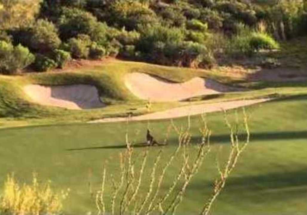 Mountain Lion Takes Over Golf Course and Plays With Flag