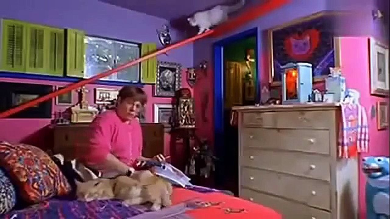 Die Katze - Alles ?ber Katzen