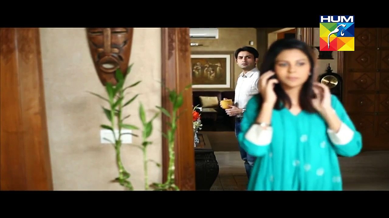 Aye Zindagi Episode 13 - 4 June 2015 - Hum Tv