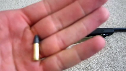 Why Is It Illegal To Hunt Deer With .22lr?