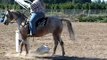 Salem Saddle Club Extreme Trail Horse Challenge 2010