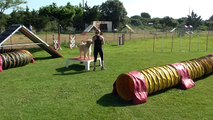 Carole et Jersey, agility loisir, mai 2015