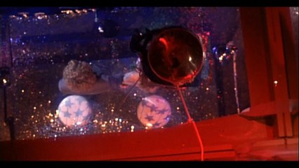 JEUNE FILLE, MODE D'EMPLOI #4