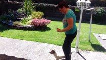 A l'entrainement avant le concours de danse maîtres / chiens dimanche à Gelos