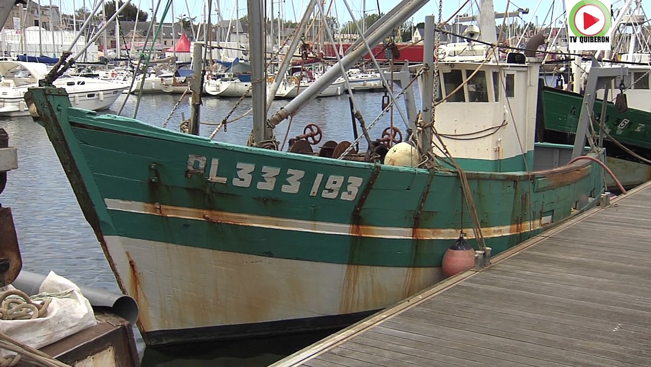 Paimpol   |   Le petit voyage à Paimpol - Bretagne Télé