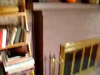 Mi Casa Es Tu Casa. Pt.1