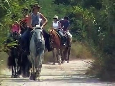 Promenade à Cheval avec baignade près d'Argelès-Sur-Mer