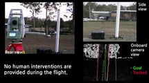 Inspection of Pole-Like Structure using Vision controlled VTOL UAV and Shared Autonomy