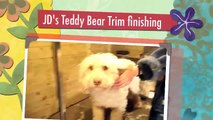 JD's Teddy Bear Trim Finishing Touches