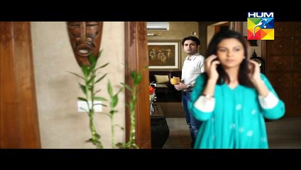 Aye Zindagi Episode 13 full on Hum Tv - 4th June 2015