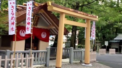 【 ヒーリング動画 】 神武の八咫烏 (やたがらす) 〜四面楚歌を打破〜