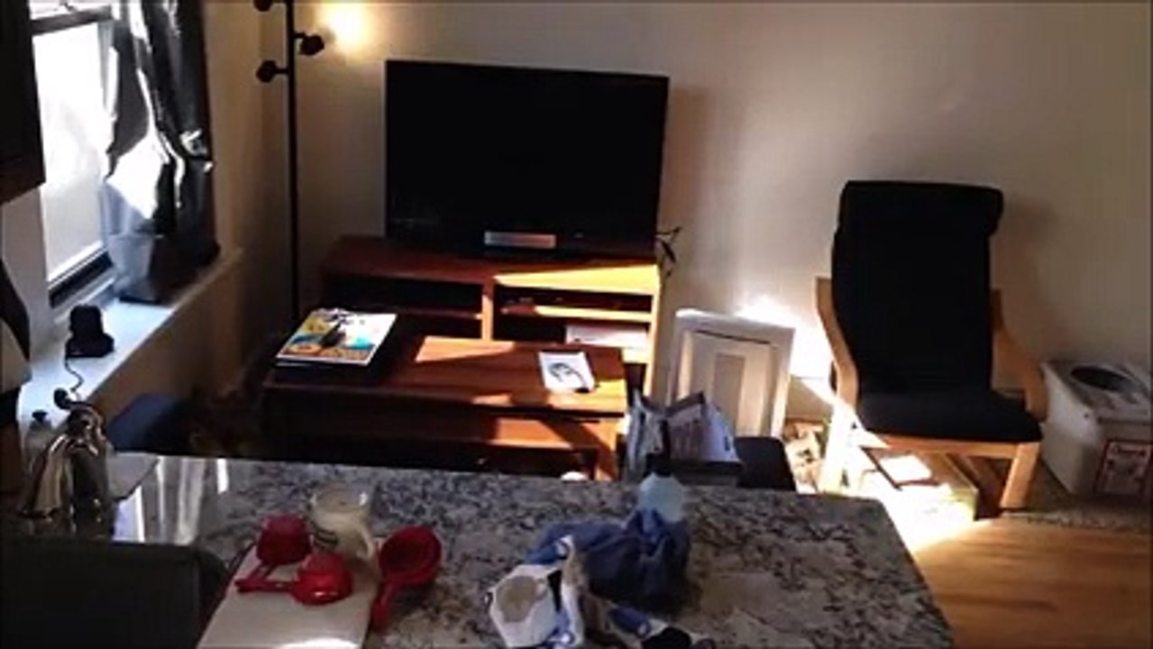 Funny Videos 06