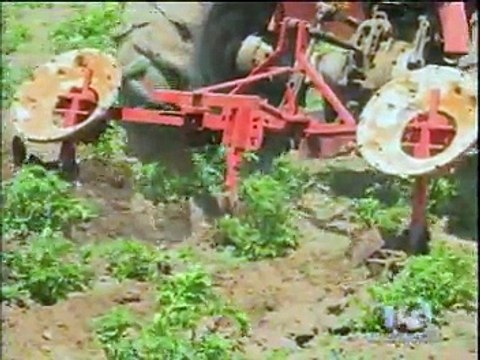 Jóvenes ecuatorianos ganaron el segundo lugar en concurso de innovación