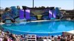 One Ocean Shamu Show at SeaWorld, San Diego