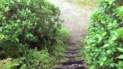 TRAVEL DOMINICA. FRESH WATER LAKE EXPEDITION. XPOSE TV