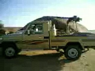 قناص مراد - منتديات قبيلة مراد