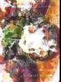 How to Cook Stuffed Portobello Mushrooms Breading and Bell Pepper, Bacon and cheese in rec
