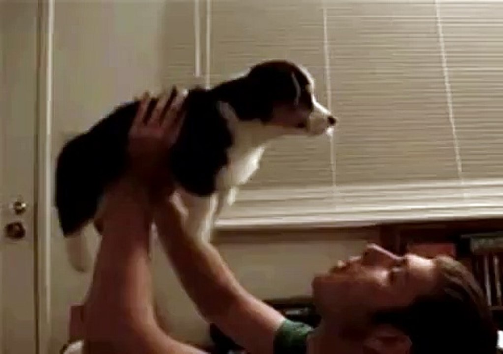 Puppy Believes He can Fly