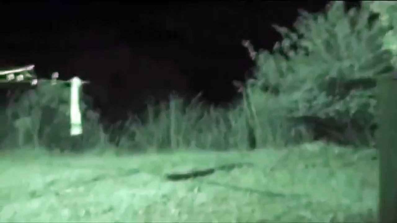 extraterrestre grabado de noche Alien caught on camera amazing