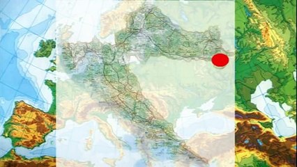 Lov na divlje svinje