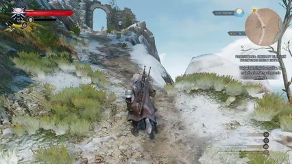 Wiedźmin 3: Dziki Gon