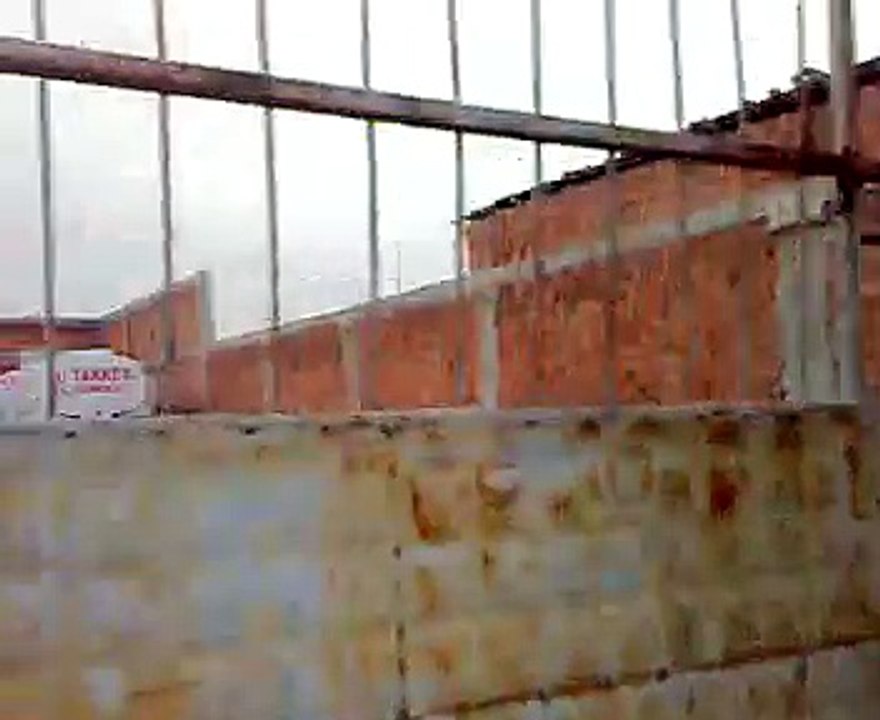 kangallar ve kurt.mp4