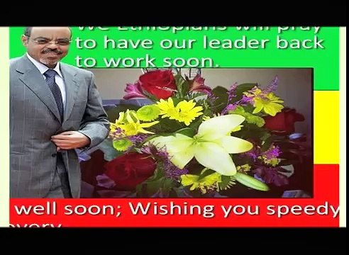 PM Meles Zenawi: Gena ... Gena ... Gena