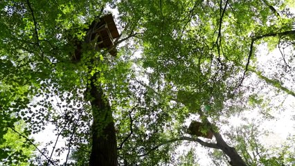 Above All Else Trailer