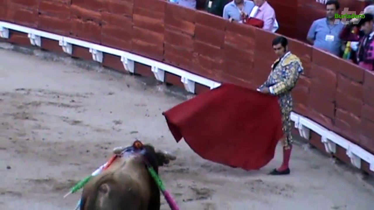 Toledo Corpus 04 jun 2015